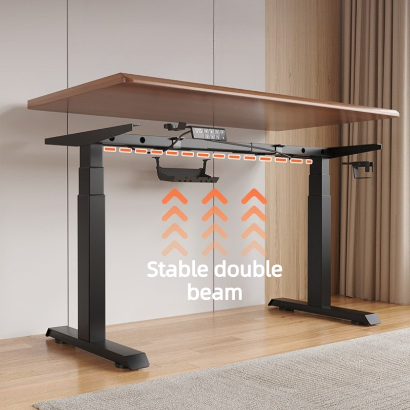 Electric Lifting Desks Mute Hi - Esports Gaming High School 리뷰 및 가격