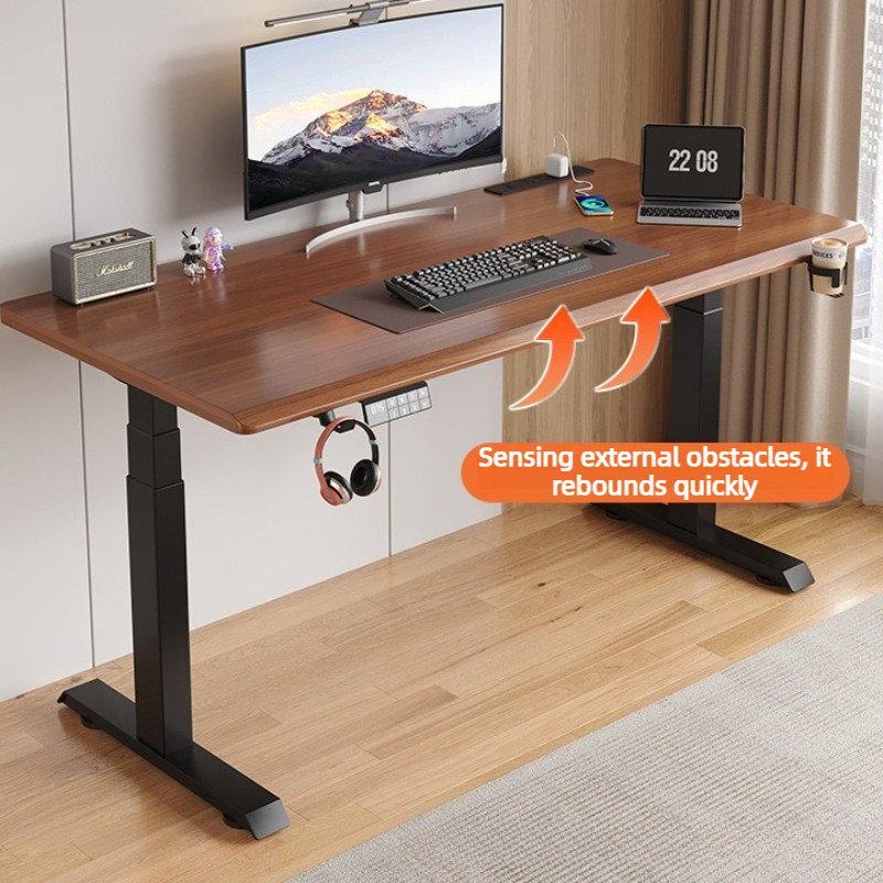 Electric Lifting Desks Mute Hi - Esports Gaming High School 리뷰 및 가격